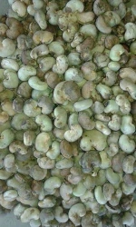 Cashew Nuts