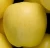 Import Fresh Royal Gala Apples, Golden Delicious Red Apples from Germany