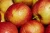 Import Royal Gala Apples, Golden Delicious Red Apples from Germany