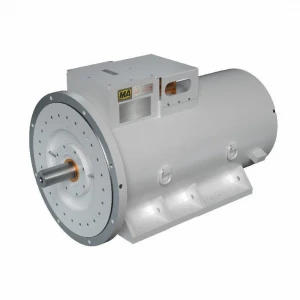 Electric Motors High Power High Voltage