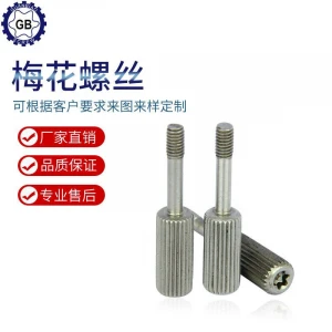 The anti-theft screw/bolt Cylindrical head quincunx socket screw/bolt with column Anti theft screw/bolt with post in plum blossom nonstandard screw