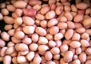 Dried Raw Peanuts Kernels Rich Protein
