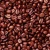 Import Robusta S18 Roasted Coffee from Vietnam from Vietnam