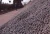 Import Iron Ore Pellets | Fe ~64.5% from United Arab Emirates