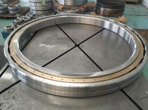 Special Cylindrical Roller Bearings 539392,shaft diameter 1210mm