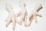 FROZEN CHICKEN FEET AND PAWS FOR SALE