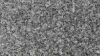 Ramadi El Sherka Granite Slabs and Tiles – Premium Egyptian Grey Granite