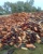 Import Firewood Wholesale Offer from South Africa