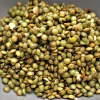 High Quality Best Price Wholesale Green Lentils New Crop Green Lentils in Bulk Manufacturer