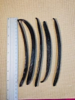 MEXICAN VANILLA BEANS