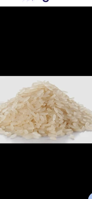 Rice