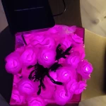 Solar rose 50 Led string light