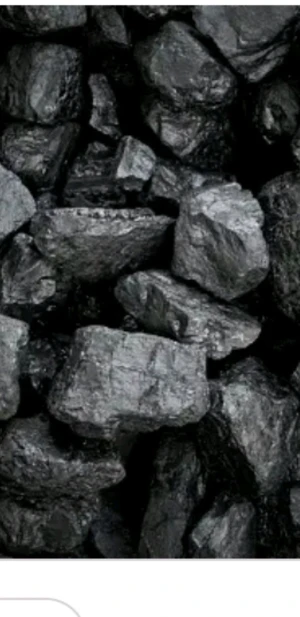 Coal