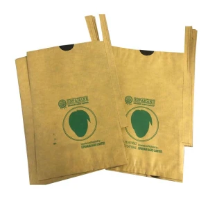 Sir Lanka Bangladesh Waterproof Fruit Mango Paper Protection Bag 20x30cm