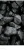 Import Coal from South Africa