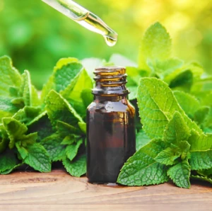 PEPPERMINT ESSENTIAL OIL