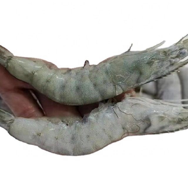 Buy Wholesale Price Shrimp Vannamei Delicious Frozen Seafood Prawns