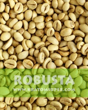 Robusta Green Bean Coffee Indonesia