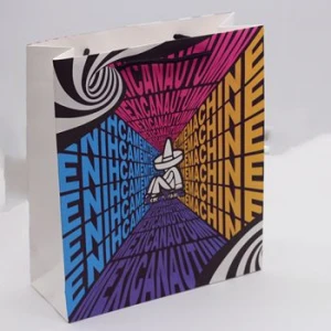 Top Quality Shipping Handle Colorful Gift Paper Bags