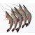 Import Wholesale price shrimp vannamei delicious frozen seafood prawns frozen from USA