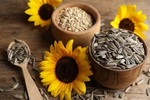sunflower seeds,sunflower seed for sale,sunflower supplier