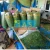 Import MORINGA LEAF POWDER from Indonesia