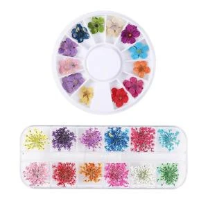 1 Box Dried Flowers Nail Decoration Natural Floral Stickers Nail Art Decals