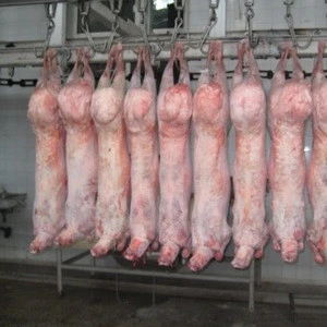 100% Fresh Halal Frozen Lamb Meat