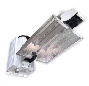 1000W  Grow Light HPS Double End for greenhouse and warehouse