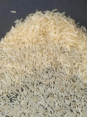 1121 White Sella Basmati Rice for Export Quality (1121 Creamy White Sella basmati Rice)