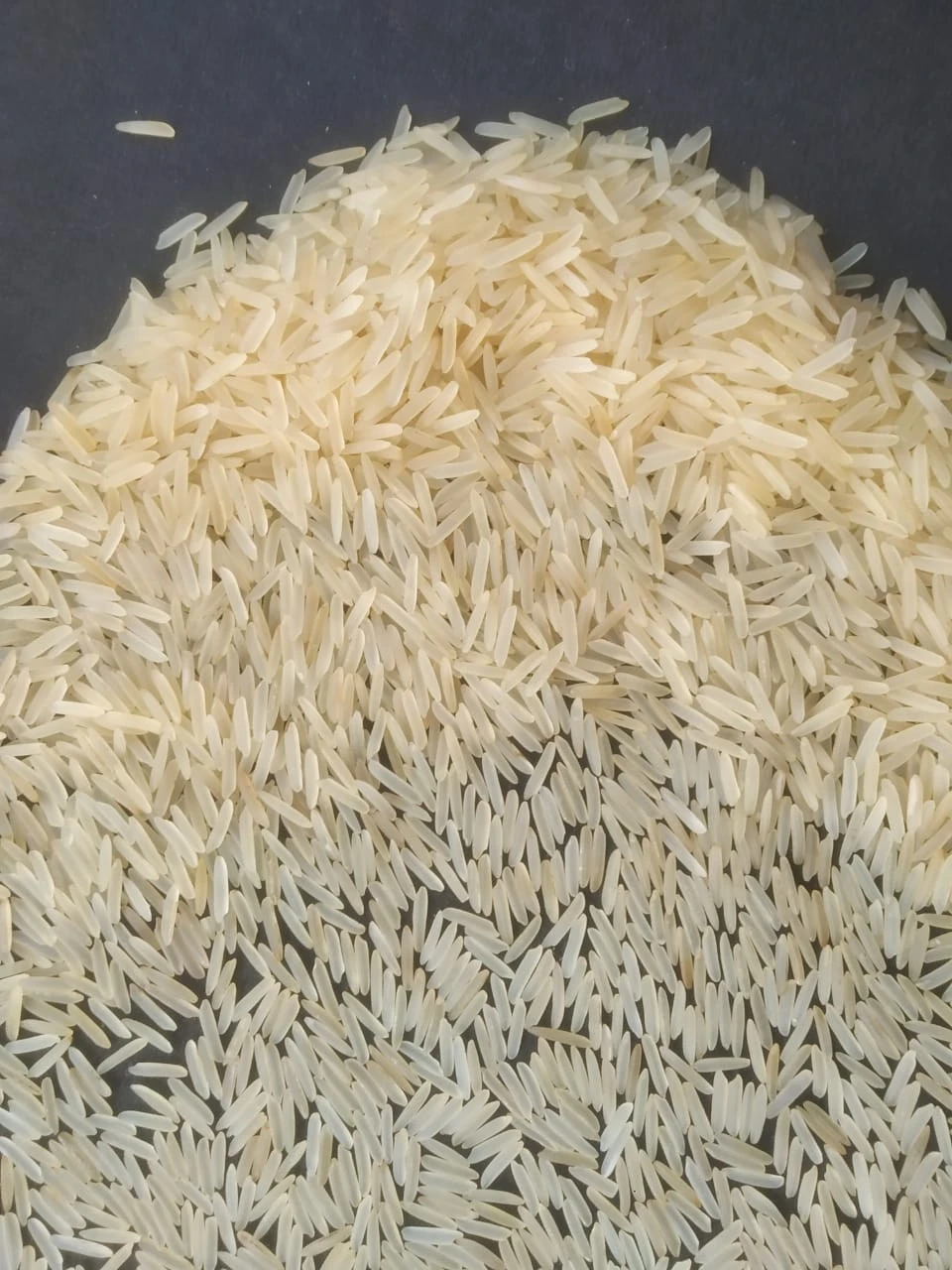 1121 White Sella Basmati Rice for Export Quality (1121 Creamy White Sella basmati Rice)