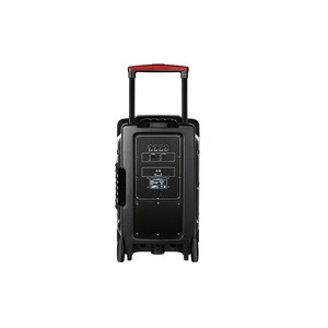 Buy 12 Inch Speaker Rms 60w Trolley Portable Subwoofer Speaker Trolley ...