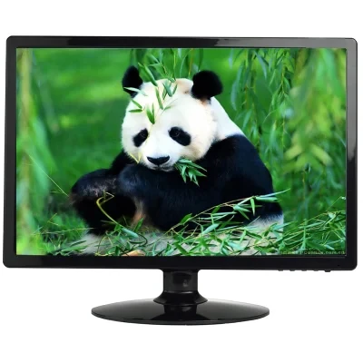 16: 9 Wide Screen 22" LCD Monitor (A224W)