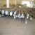 Import 201 304 316 Stainless Steel Round Bar 321 Stainless Steel Bars from China