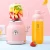 Import 2020 Multi-Function Home 500Ml Rechargeable Portable Slow Juicer from China