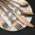 Import 2020 silverware set eco-friendly PVD  western fork and spoon set flatware set stainless steel cutlery from China