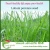 Import 2021 perennial ryegrass seeds forage seeds grass seeds is a high-quality forage cattle, sheep, horses. from China