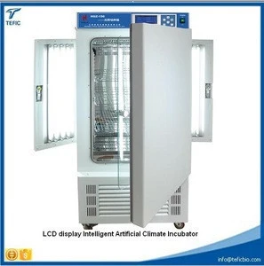 304 stainless steel artificial incubator Laboratory Thermostatic Devices Artificial Climate cabinet