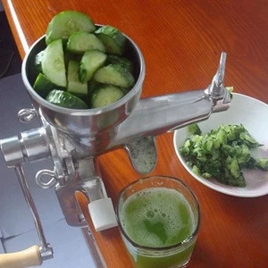 304 Stainless Steel Manual Fruit and Vegetable Juice Extractor
