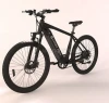 500w 48v China Best Selling 21 Speed Mountain Bicycle  Electric Bike ebike