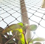 7*7 7*19 1*7inch flexible wire rope mesh net in 304 stainless steel