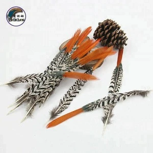 8-10 Inch(20-25 cm)Chinese Top Manufacturer Wholesale Cheap Short Natural Orange Tips Lady Amherst Pheasant Feather