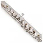 Accept OEM 16 closed holes Good Quality Silver Plated Flute