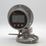 Accuracy 1% PT100 100MM SS316 Digital Thermometer With Bottom Connection
