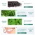 Import Activated Charcoal Teeth Whitening Toothpaste With Natural Gum Protection And Mint Flavor from China
