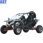 AGY 300cc gas powered off road buggy go kart