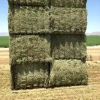 High Vitamin Alfalfa Hay For Rabbit Feed in Best Price