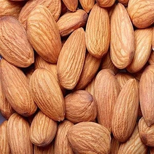 Almonds - Almond Nuts - Raw Bitter and Sweet Kernels - Ships in Bulk/Canada Almond Nuts