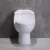 Import Amaze Ceramic Porcelain America sanitarios inodoro sanitary ware siphonic one piece bathroom wc toilet bowl from China