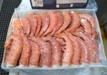 ARGENTINE Natural WILD red Shrimp Fresh Frozen Prawn